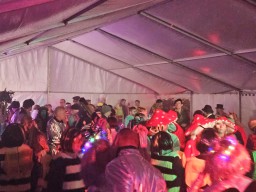 INSELKARNEVAL 2026 (ffburg)